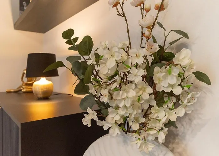 Cozy Terrace & Free Parking In The Heart Of 公寓